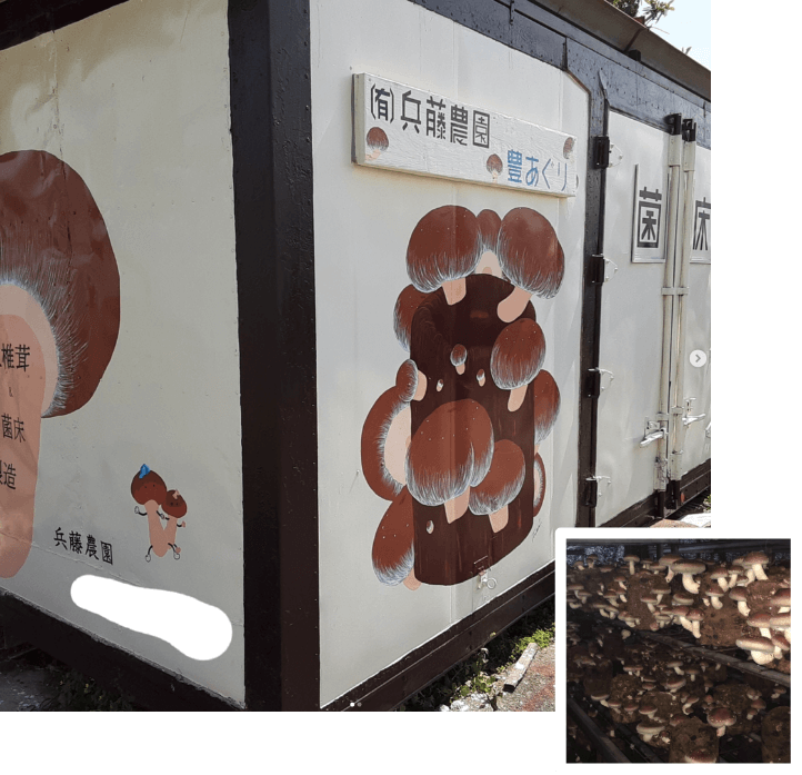 豊あぐり・兵藤農園のこと