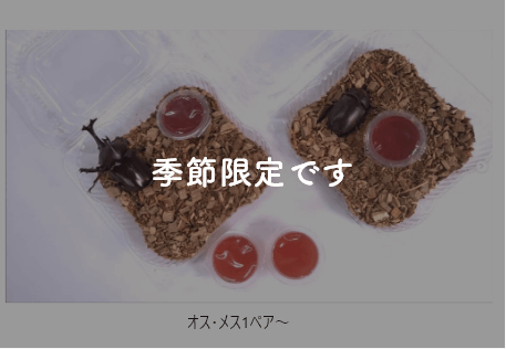 傘