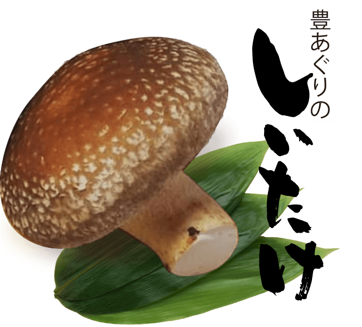 豊あぐり・兵藤農園